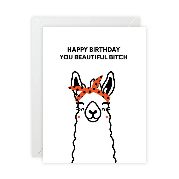 “Happy Birthday You Beautiful Bitch” Birthday Card – Birthday Greeting Card - Illustrated, Funny, Snarky, Modern for wholesale by Donkey Laserbeam