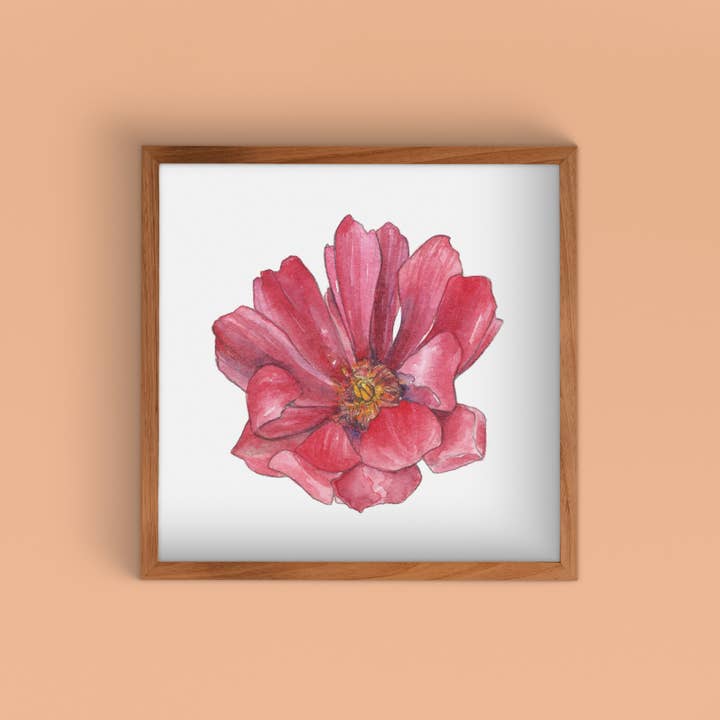 Stampa artistica ad acquerello Staghorn Pink & Purple I per la vendita all'ingrosso da parte di Cacti Oasis©