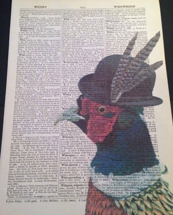 Parksmoonprints - Wholesale Art Print - Pheasant Dictionary Wall Art Print - Quirky Animal Prints1