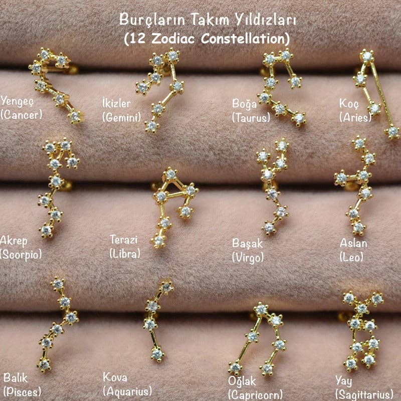 StockJWL - Wholesale Stud/Post Earrings - 12 Zodiac Earrings, Constellation Stud Earring Stud Piercing Tragus Helix Lobe and Cartilage Silver And Gold3