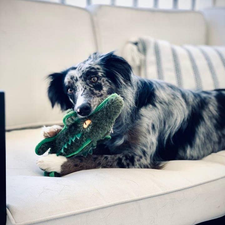 Ruffian Safari Gator and other Purchase Wholesale chuckit! ultra ball dog toy. Free Returns & Net 60 Terms on Faire trending on Faire.