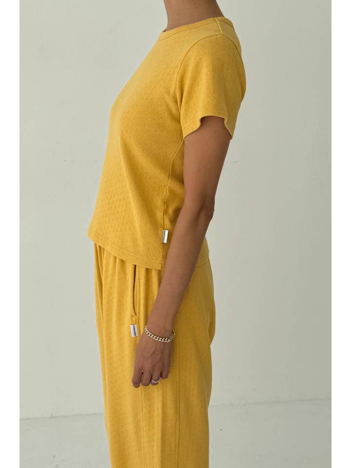 Le Bon Shoppe - Wholesale Knit Top - Women's - Pointelle Babe Tee (2S-2M-1L)12