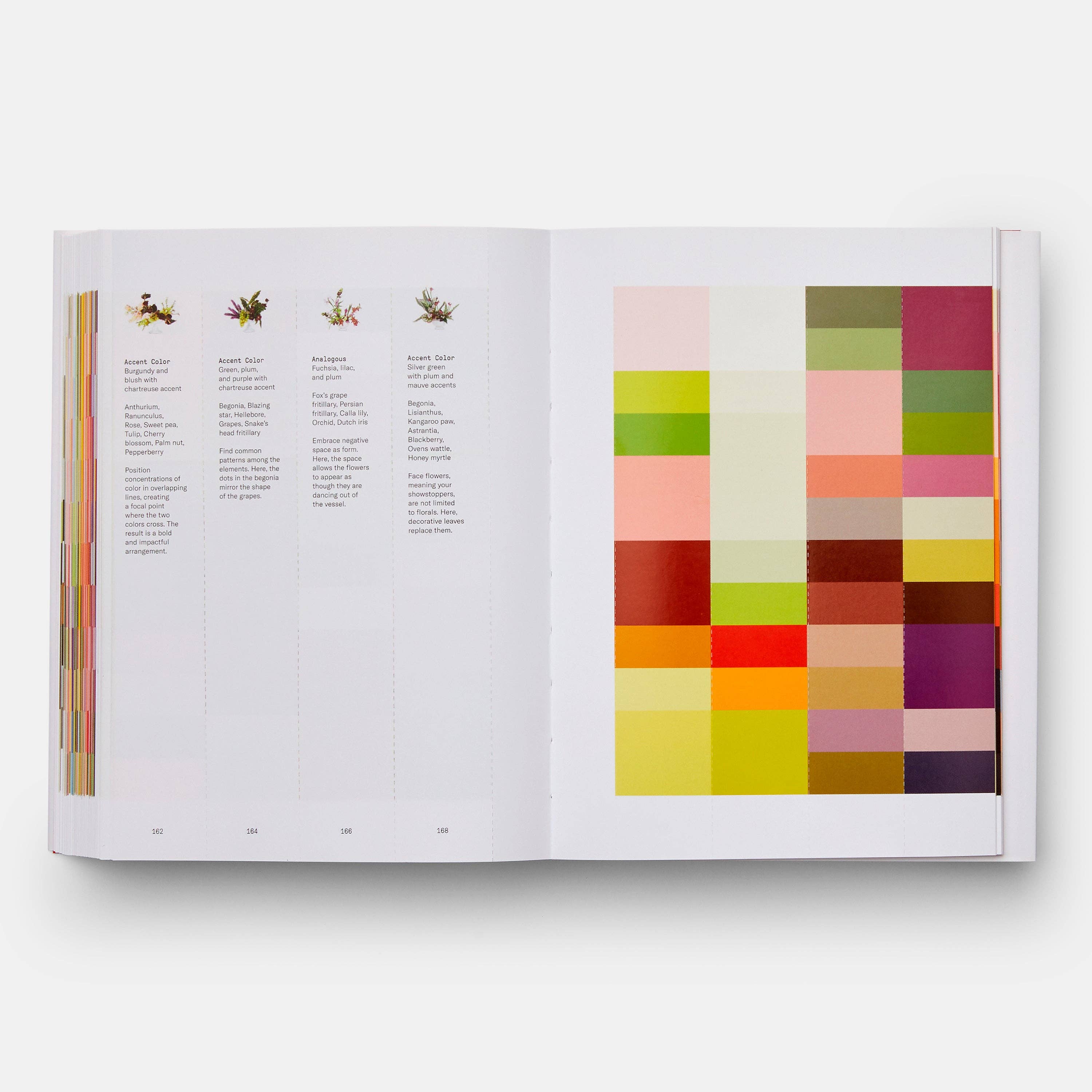Phaidon Press - Vente Livre – adulte - Théorie de la couleur des fleurs3