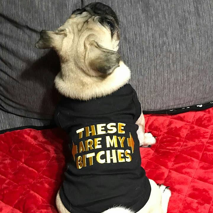 Parisian Pet® – wholesale Pet shirt – Dog – These Are My Bitches Dog T-Shirt Perfect for Confident Pups3
