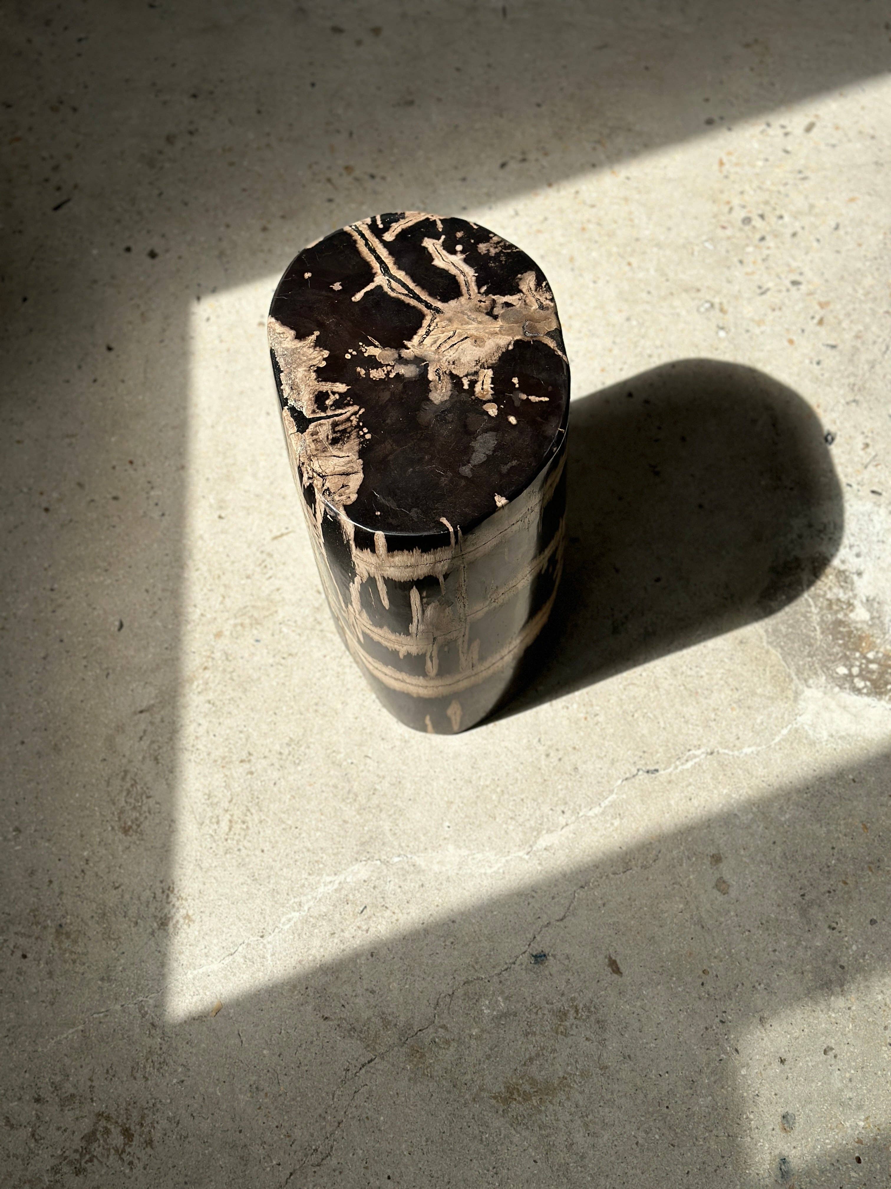 Office Objets - Vente Tables d'appoint - Table d'appoint en bois pétrifié17