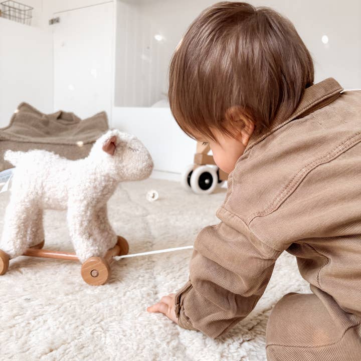 Egmont - Wholesale Classic Toy - Kids - Pull-Along Mary2