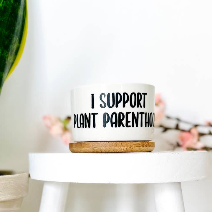 Peach Tree Design Shop - Wholesale Plant Pot - Funny Mini Planters, Punny Plant Pot, Cute Succulent Planter7