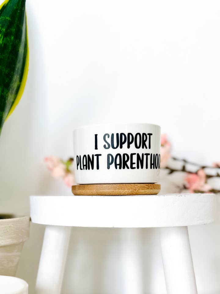 Planteforælder Saftig Plantekrukke, Sjov Plantekrukke med Bakke for engroshandel hos Peach Tree Design Shop