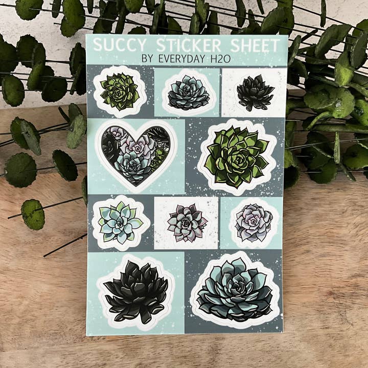 Foglio adesivo Succy Succulent per la vendita all'ingrosso da parte di Everyday H2O