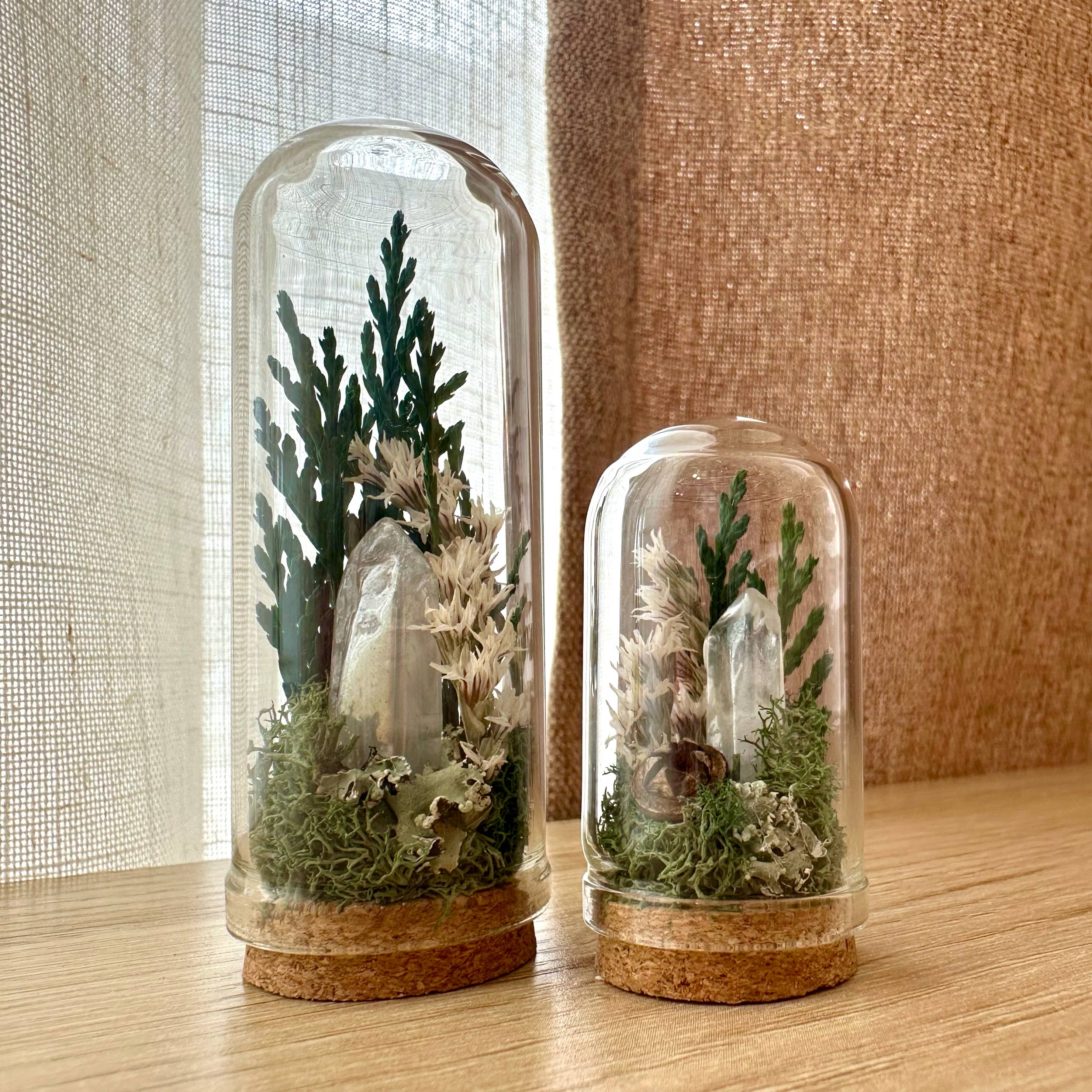 CA Studios - Wholesale Terrarium - Moonlight Mini Crystal Fairy Terrarium Floral Glass Cloche2
