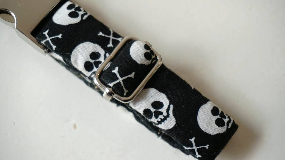 hundsfutter - Wholesale Pet Collar - Dog - Small collar for dogs with skulls5