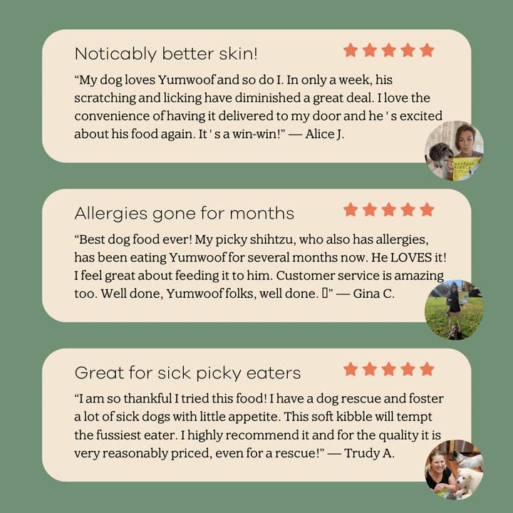 Yumwoof Natural Pet Food - Wholesale Pet Food - Dog - Perfect Kibble Air-Dried Dog Food5