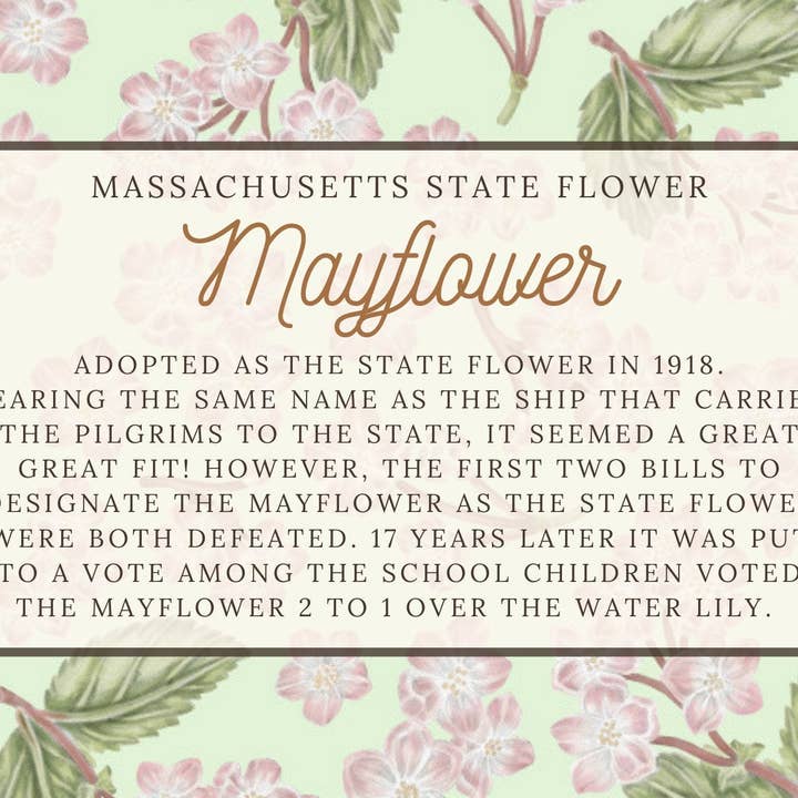 Mayflower Bloemensjaal voor wholesale door Erica Catherine Illustration