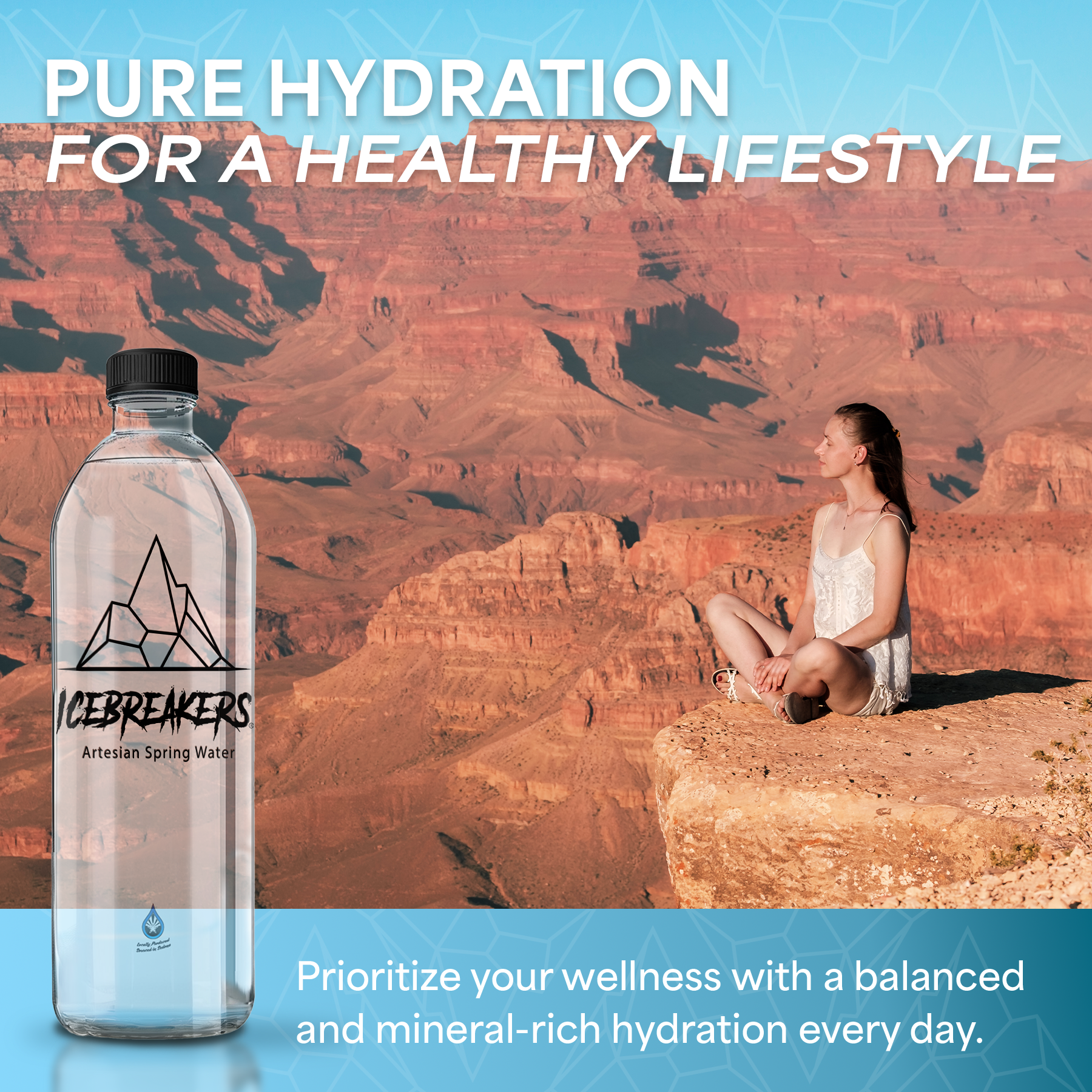 Icebreakers Artesian Spring Water – Engroshandel Flaskevand – Icebreakers Artesian Kildevand – 1L Premium 12-pak3