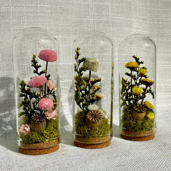 CA Studios - Wholesale Terrarium - Flower Forest Mix Mini Cloche Terrarium w. Dried Florals4