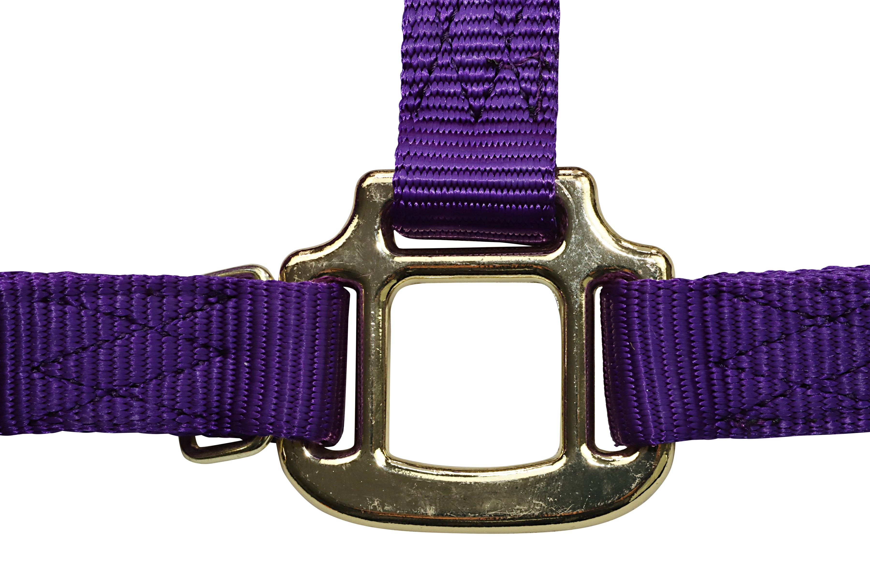 Grewal Equestrian - Wholesale Paardrijuitrusting - Nylon hoofdstellen voor paarden23