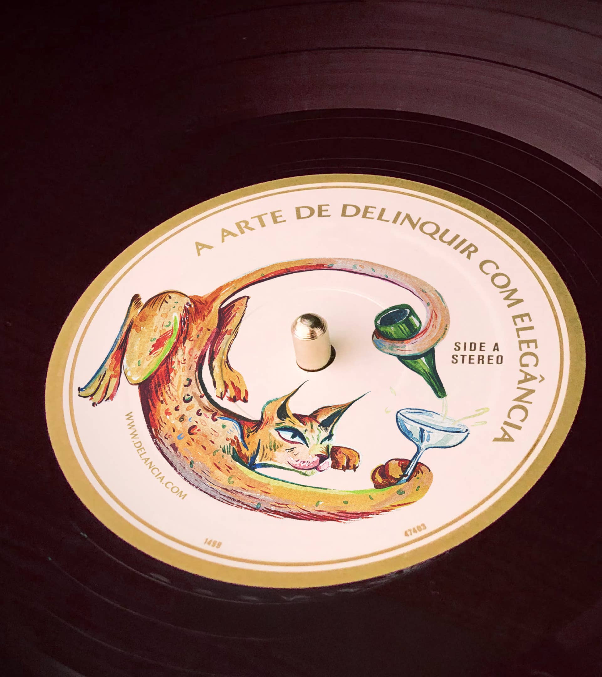 Delância - Wholesale Champagne/Sparkling Wine - White Wine with Elderflower & Green Tea2