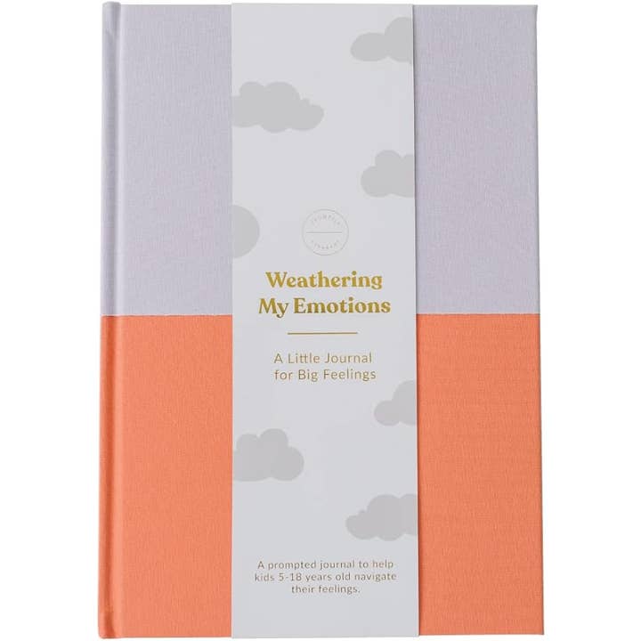 Promptly Journals - Wholesale Journal/Diary - Kids - My Big Feelings Journal: Discovering and Mastering Emotions