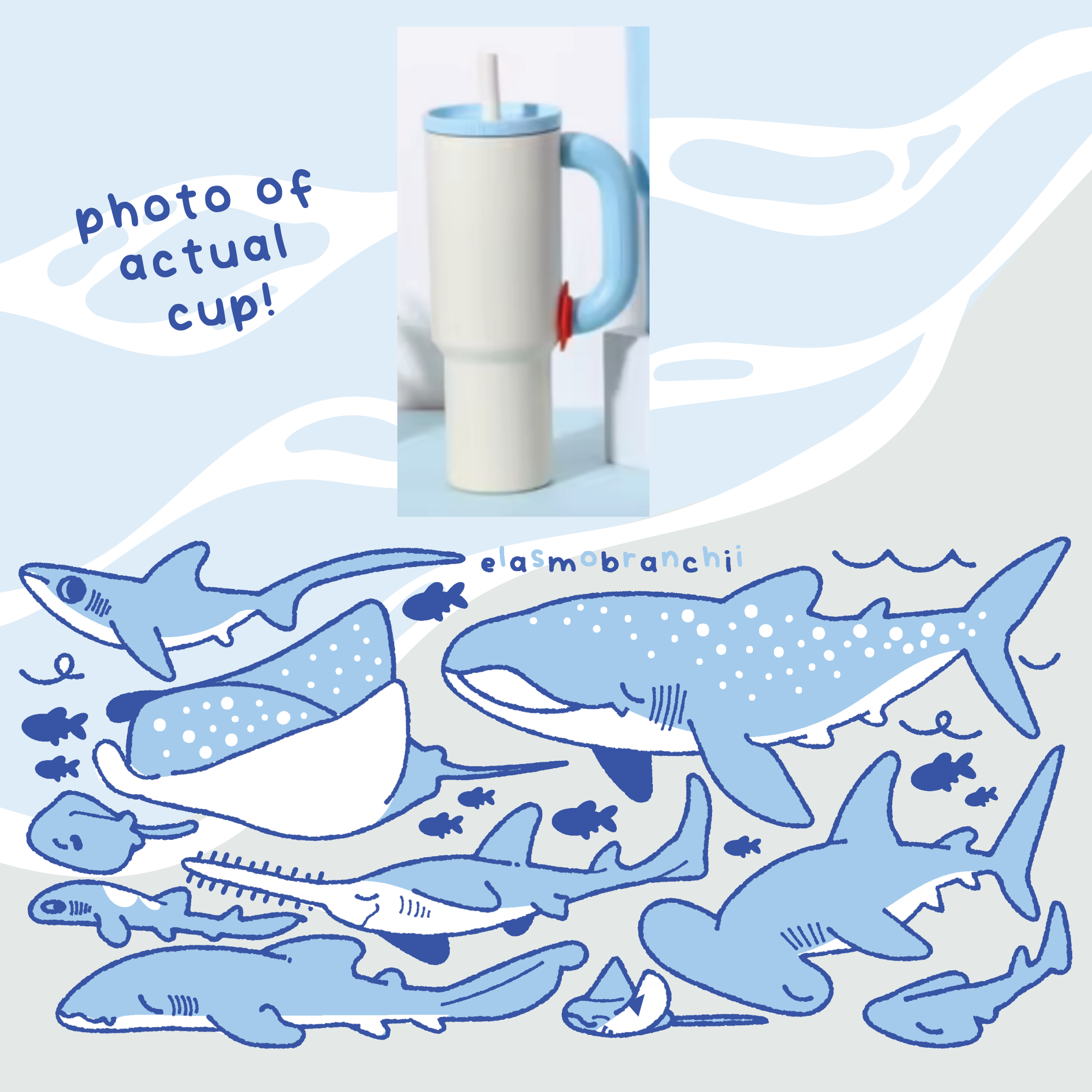 Fiveboos Inc - Wholesale Water Bottle - Elasmobranch Water Bottle1