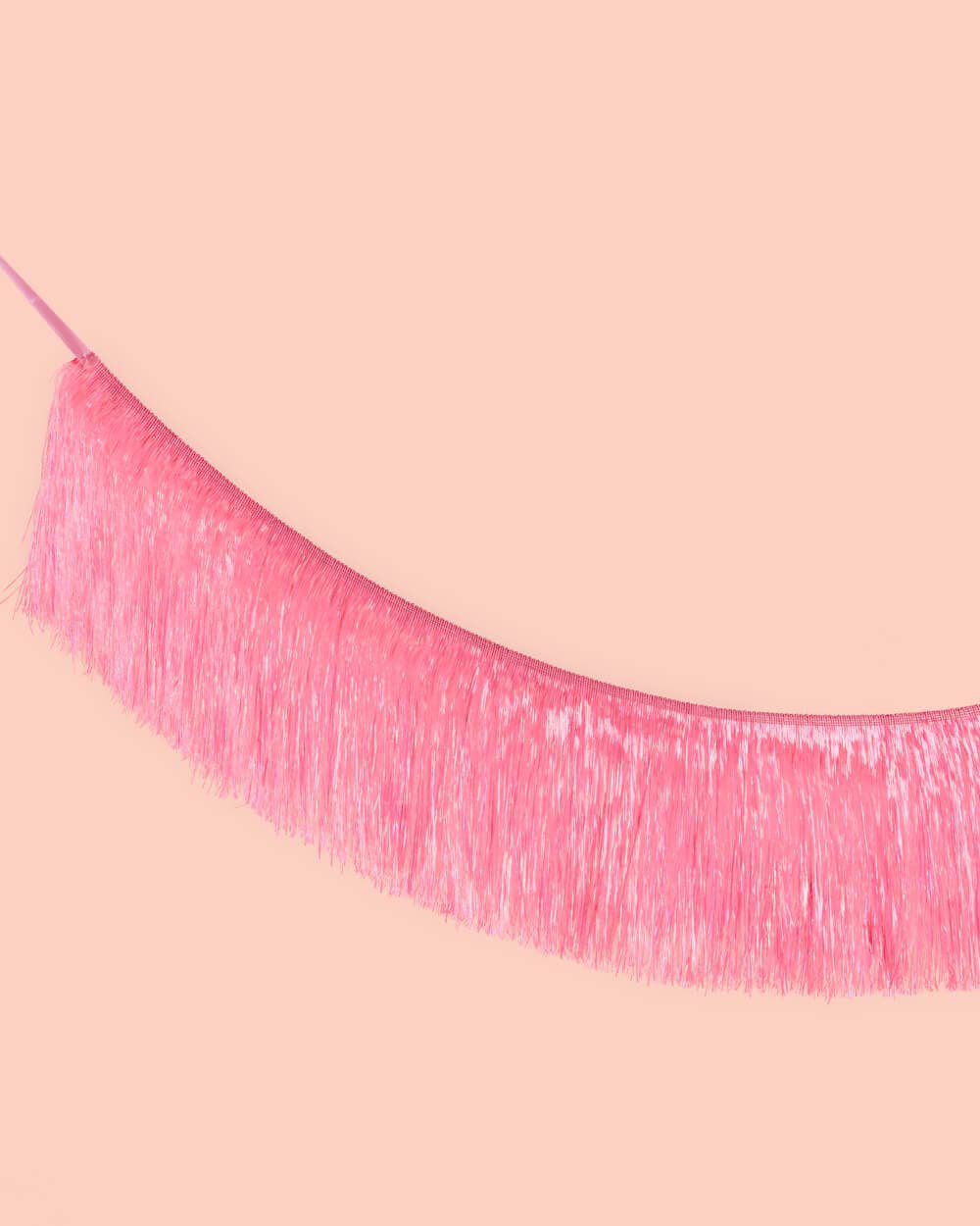 Petit Fetti - Wholesale Party Sign/Banner - Pink Fringe Party Banner, Birthday Party Supplies,Pink Décor4
