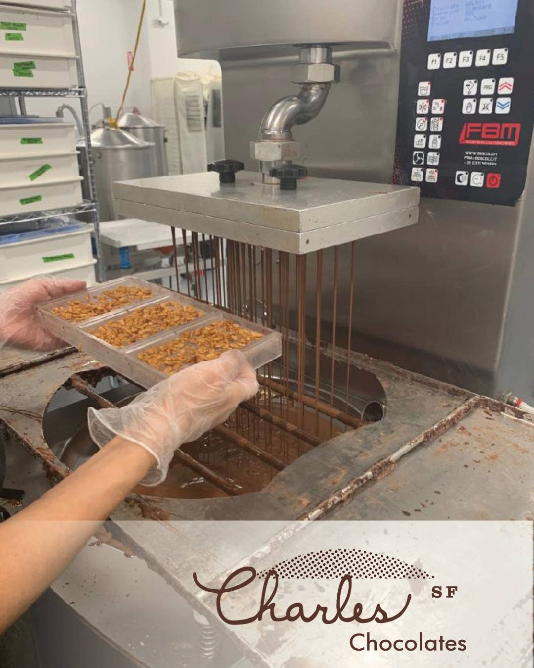 Charles Chocolates - Wholesale Chocolate Bar - Salty Sweet Hazelnut Bar, 3.9 oz3