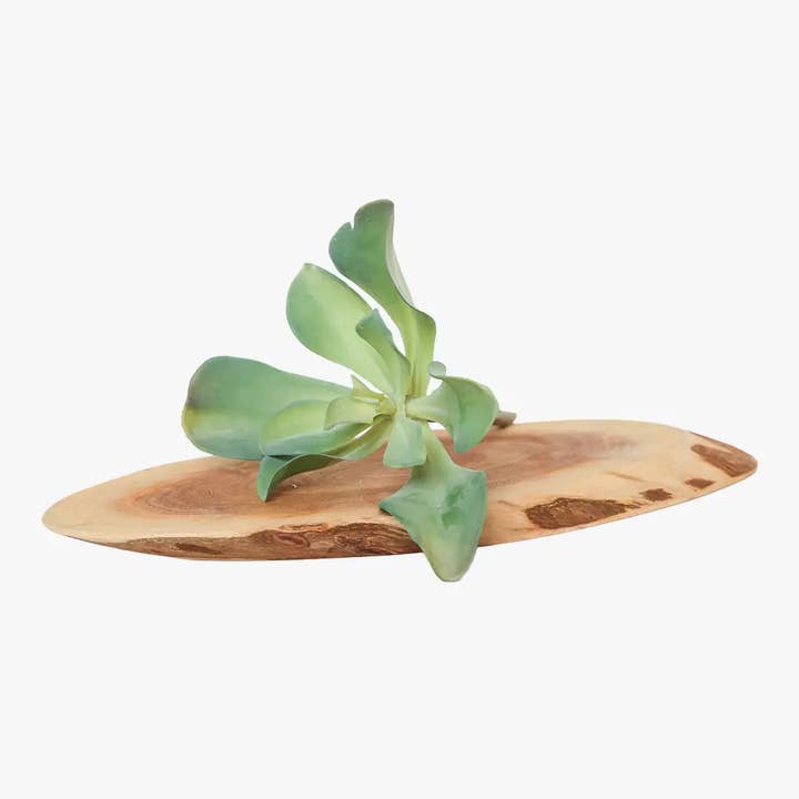 Chive - Wholesale Artificial Plant - Artificial Fake Succulent – 50% Off Spring Collection10