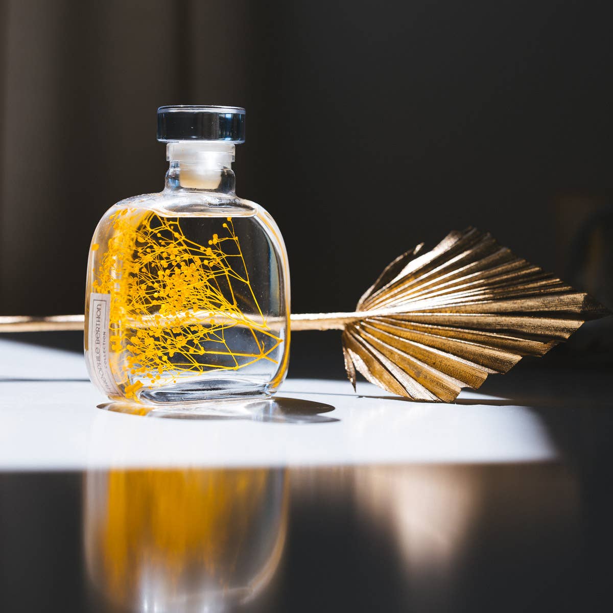 Theophile Berthon – wholesale Levande växt – Herbariumkapsel - Safrankärleksört nedsänkt växt2