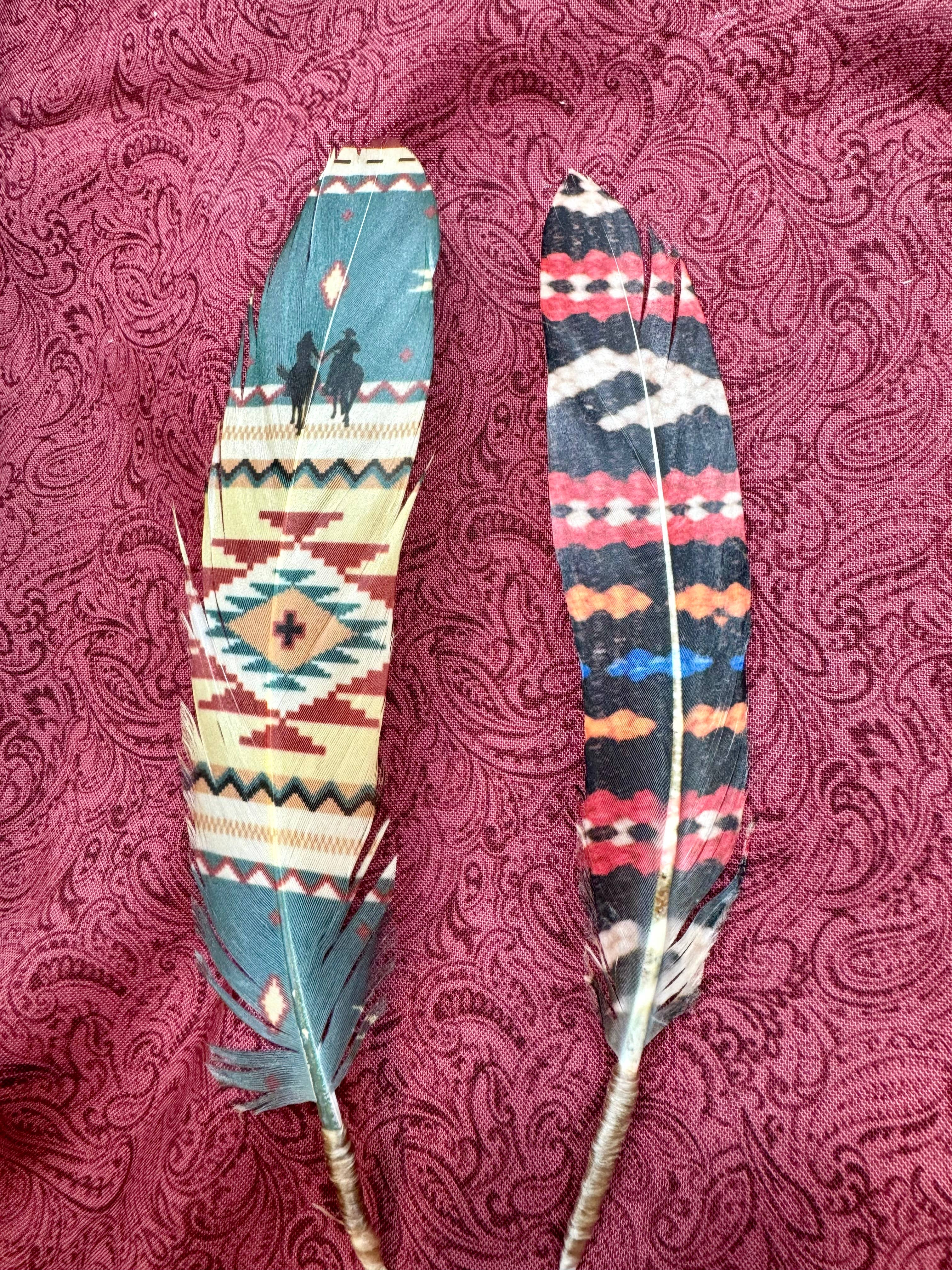 Buckaroo Supply Company - Wholesale Hat Accessory - Women's - Dream Weaver Hat Feather - Western Hat Accessory 2