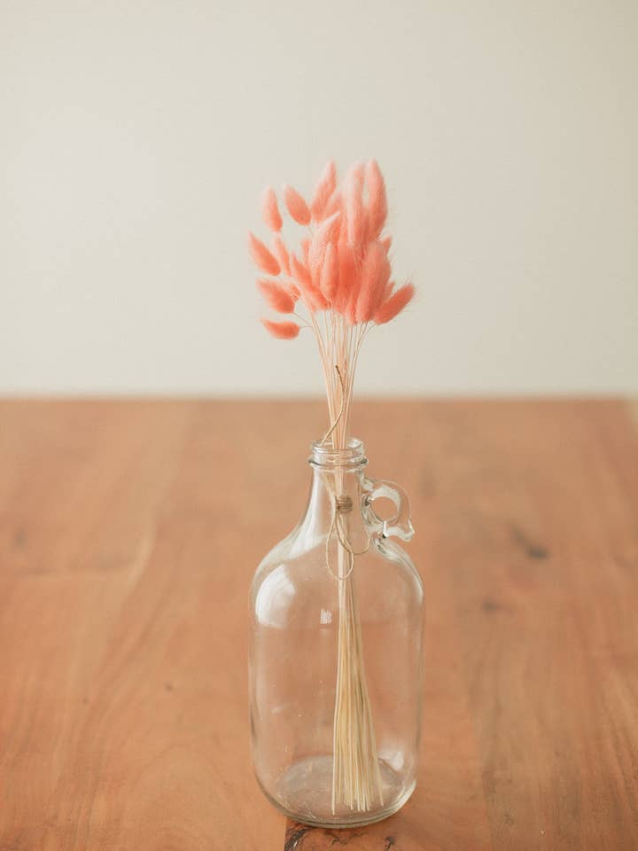 Lot Bud Vase Bunny Tail pour la vente par Eucalypt Co.