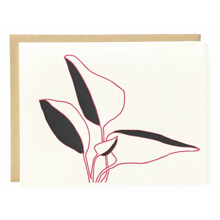 Paraíso para venta al por mayor de Nicole Monk