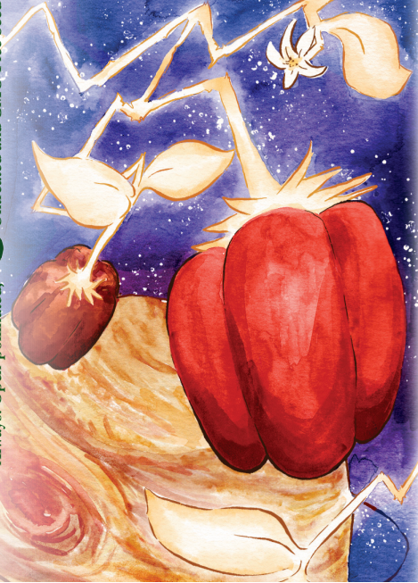 Sow True Seed - Vente Graines de plantes - Graines de Poivron - Jupiter1