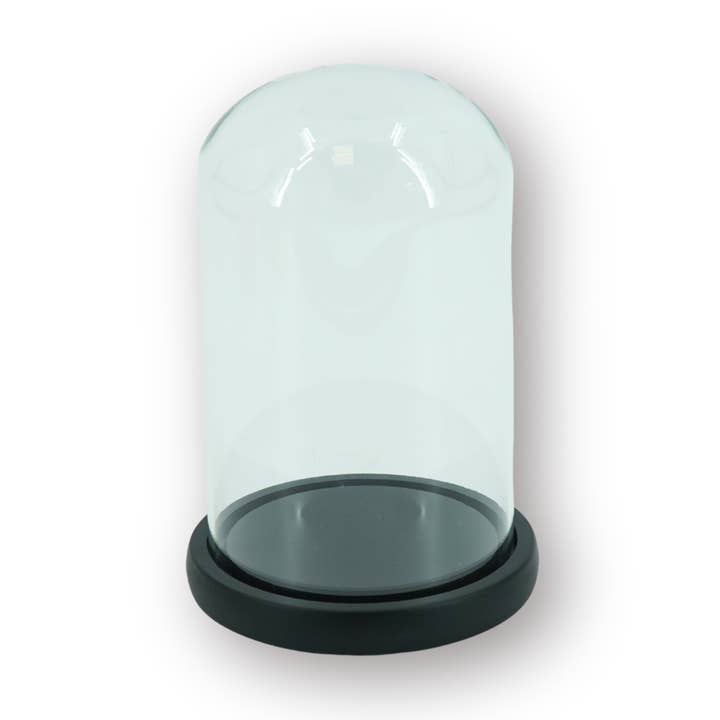 Bell Jar - Glass/Wood - Black - 14x14x22 cm for wholesale by Housevitamin bv