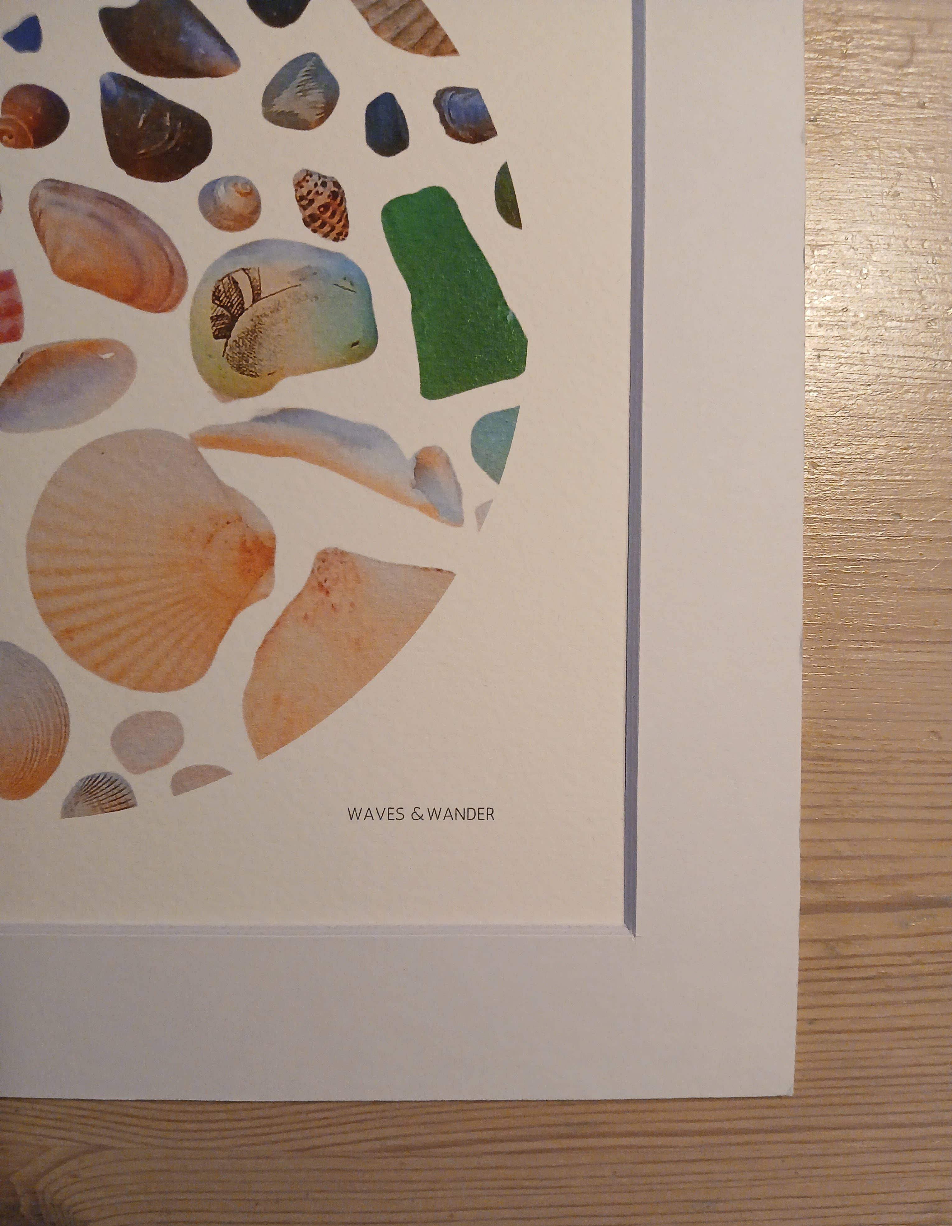 Waves & Wander - Wholesale Art Print - Shell Art Print - Coastal Colours - 10 x 10  3