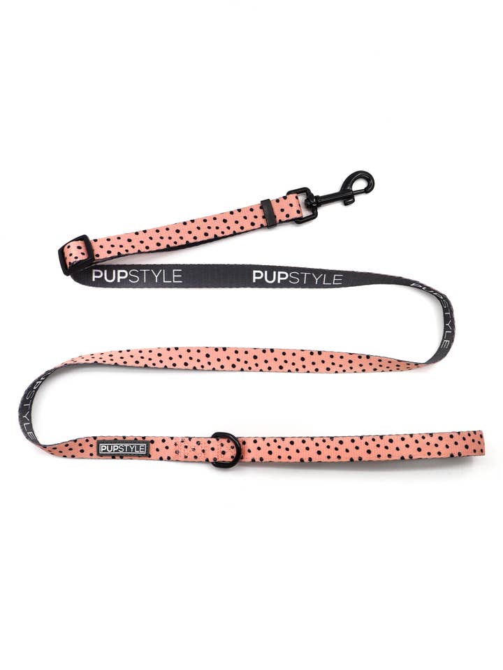 Marocko justerbar äventyrskrets för wholesale av PUPSTYLE