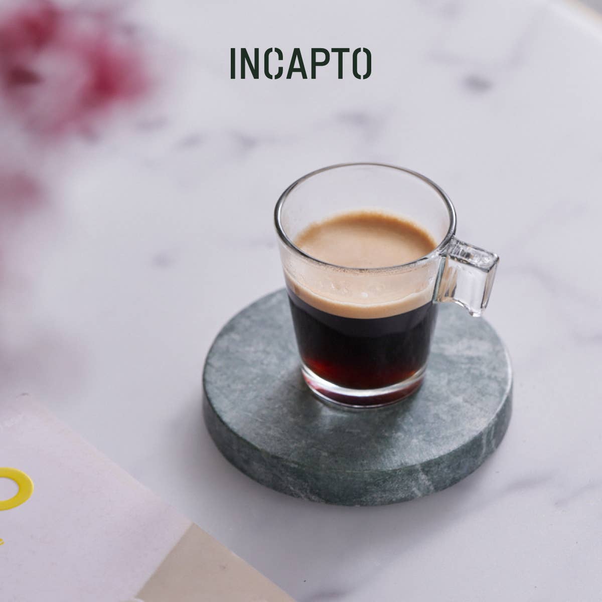 INCAPTO COFFEE - Wholesale Coffee Beans - Specialty Bean Coffee Origin GUATEMALA 100% Arabica6