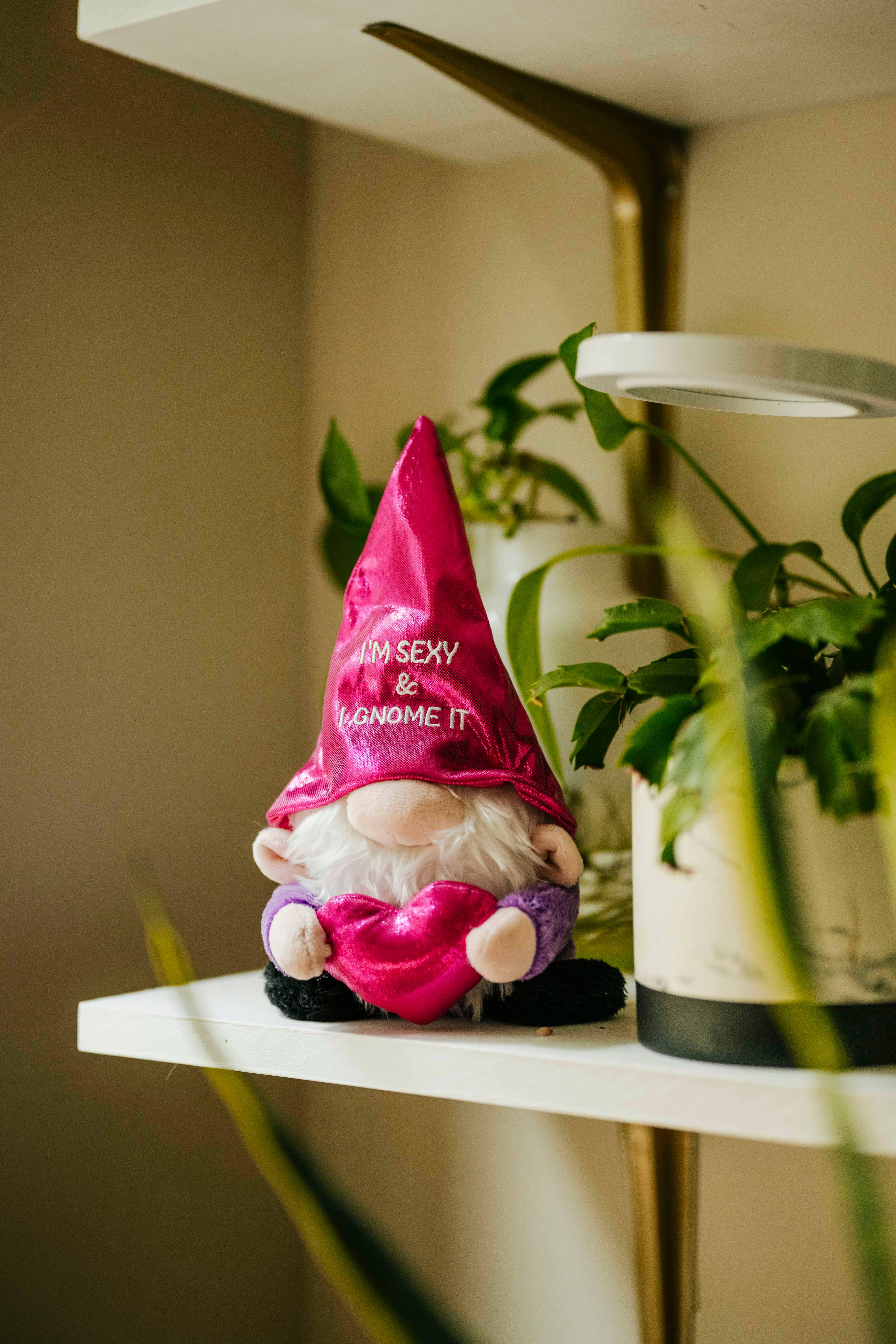 Punchkins - Wholesale Gag Gift/Novelty Gift - Gnome Plush  Sexy I Gnome It  Soft Toy Funny Cute Gift1