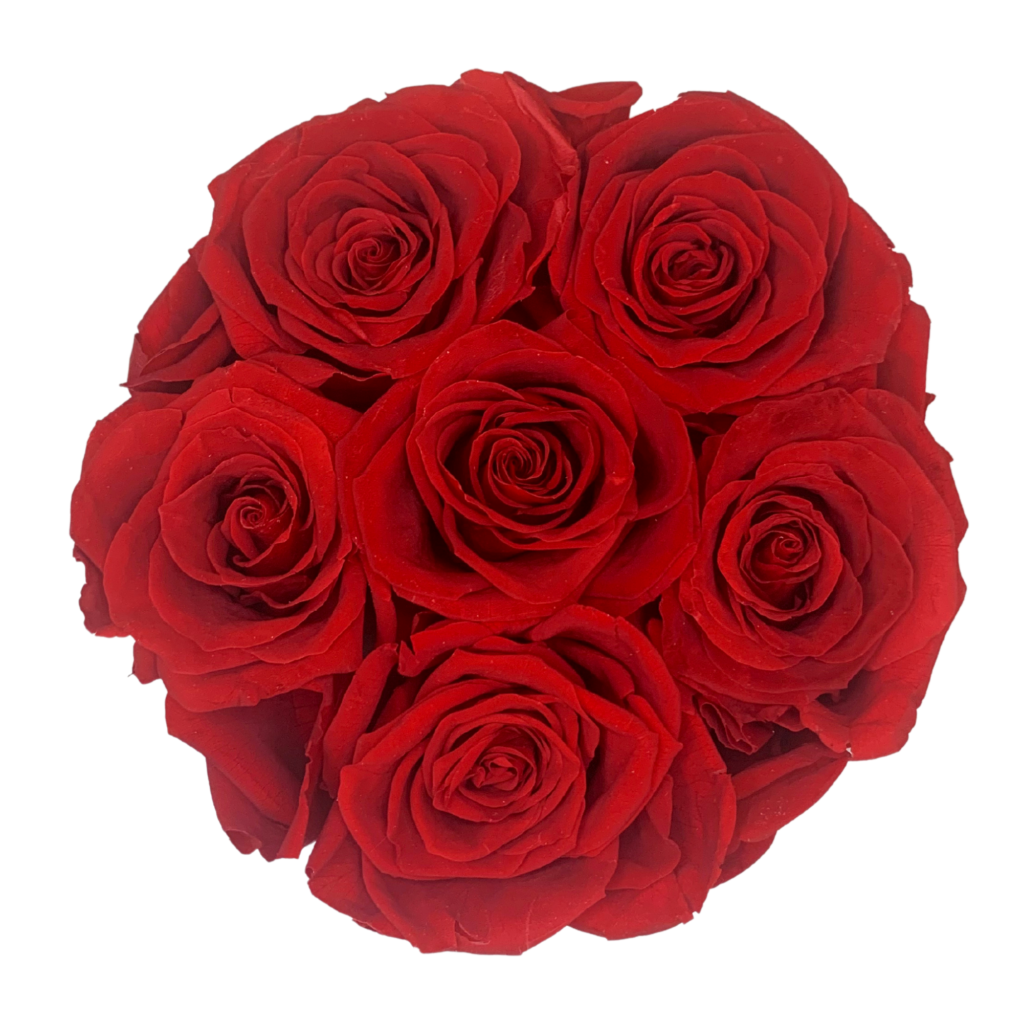 verona home and gift - Wholesale Dried/Pressed Flowers - Real Preserved Roses that Last Forever 32