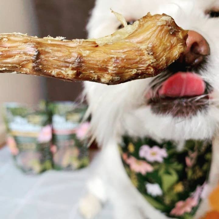 Pet Botanica - Wholesale Pet treats – Dog - Chook Necks Dog Treats | Crunchy Chicken Neck Treats3