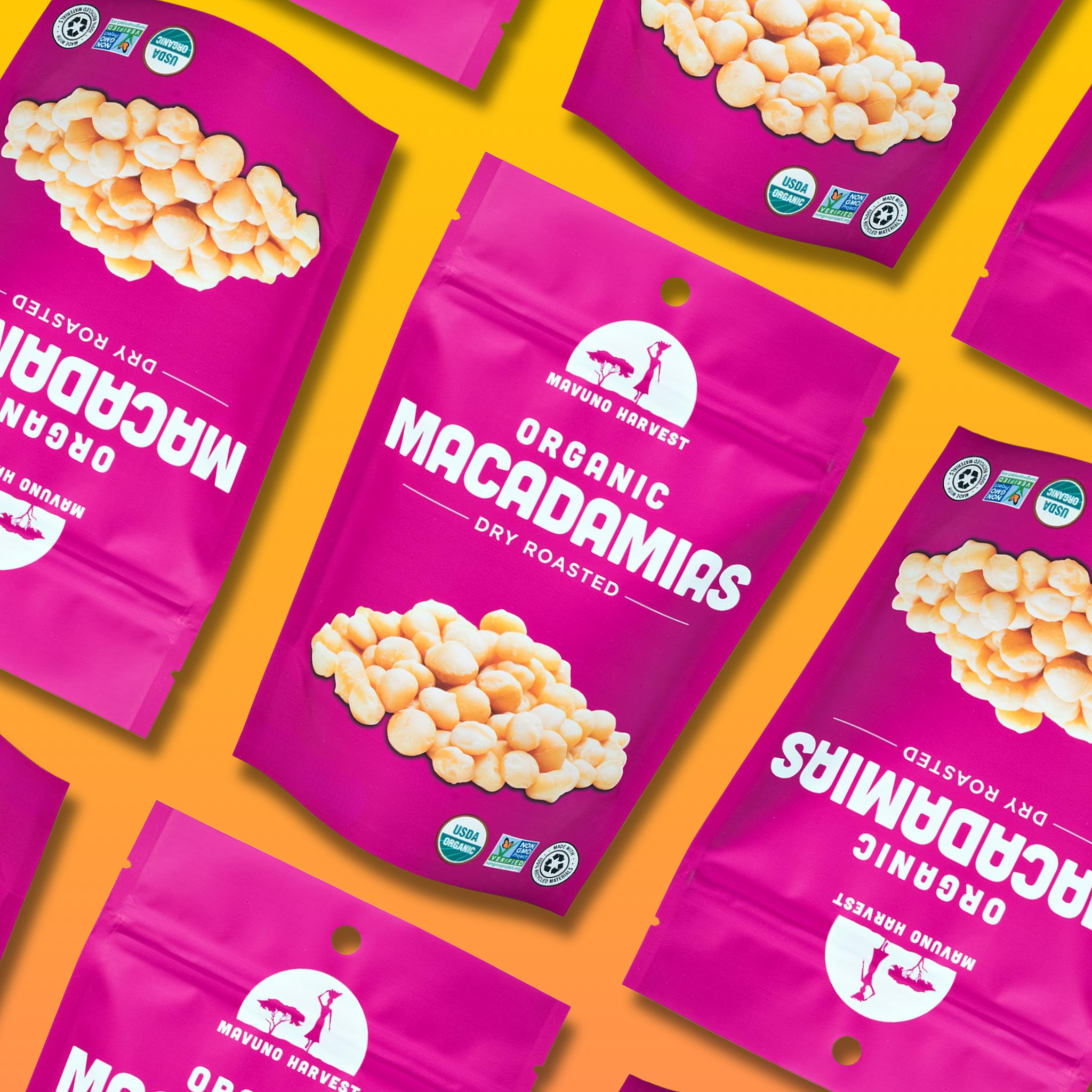 Mavuno Harvest Organics - Wholesale Nuts - Organic Dry Roasted Macadamias, 6-pack case4