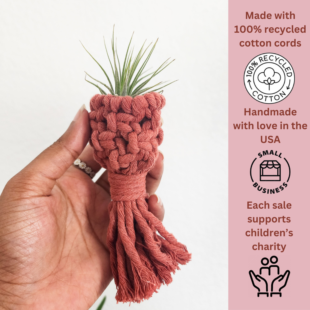 Handmade By Uruba - Vendita all'ingrosso Fioriere a sospensione - Porta Piante Aeree Magnetico per Frigorifero | Accessori per Piante Fatti a Mano12