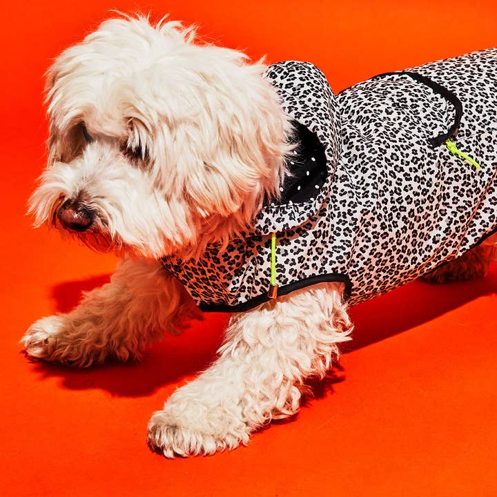 Ware of the Dog – wholesale Hundregnrock - Hund – Svart & Vit Leopard Print Regnrock w/Hood