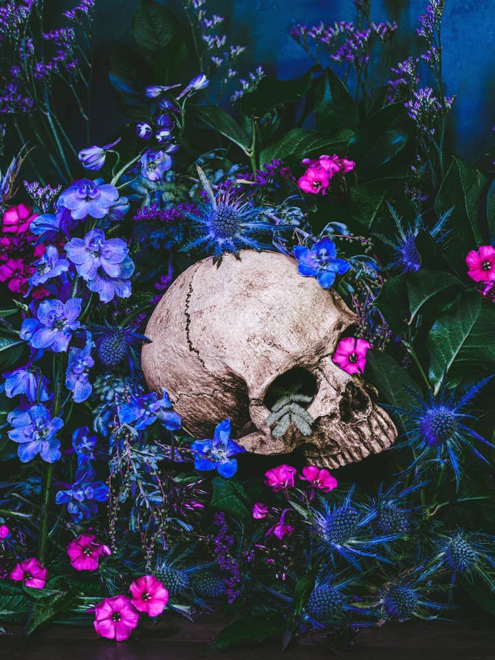 Ecstasia | Art Print | Dark Floral Still Life for wholesale by Alyssa Thorne