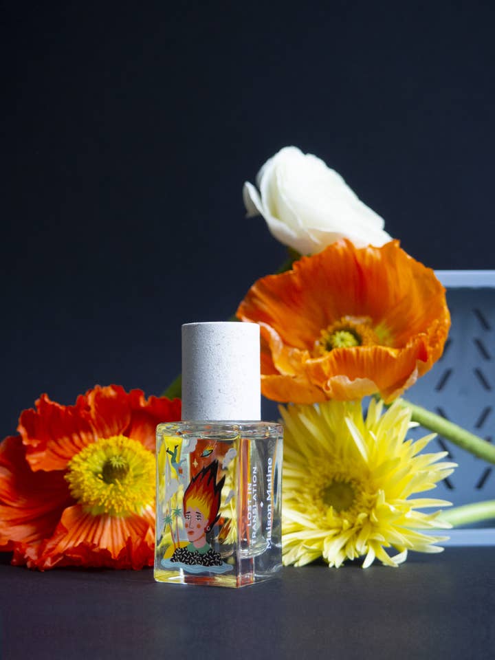 Lost in Translation - EDP 15ml - a woody spicy aquatic scent for wholesale by Maison Matine