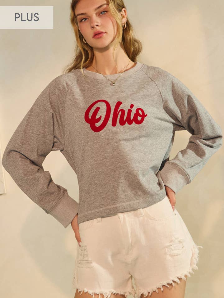 Plus Cropped State Logo Sweatshirt for wholesale by Oddi