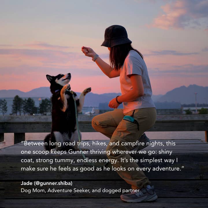 dogged - Wholesale Pet supplement – Dog - DCS: daily canine synbiotic6