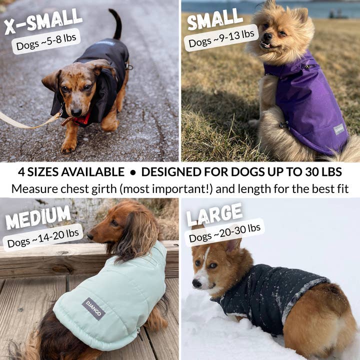 DJANGO - Wholesale Pet Coat - Dog - Snowline™ Puffer Dog Coat - Rose Petal Pink3