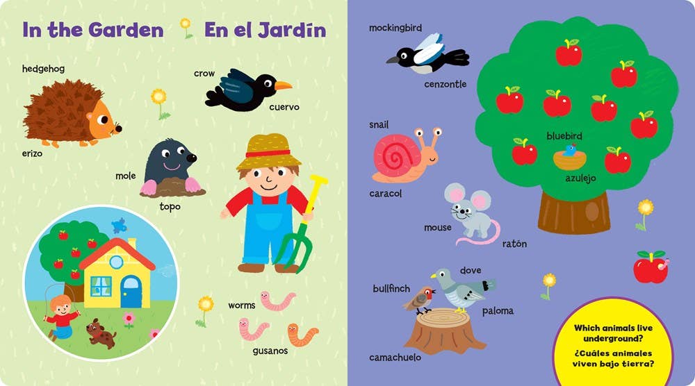 Gibbs Smith - Vente Livre pour bébés et tout-petits (jusqu'à 2 ans) - 101 Animal Words/Nombres de Animales : un livre cartonné bilingue2