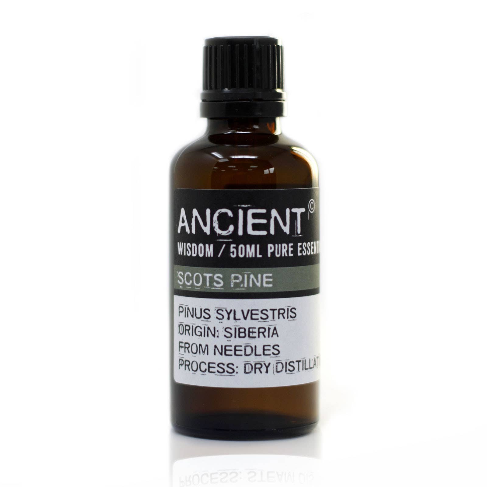 AWGifts Europe - Wholesale Essential Oil - PrEO-45 - Pine Sylvestris (Scots Pine) 50ml Essential Oil0