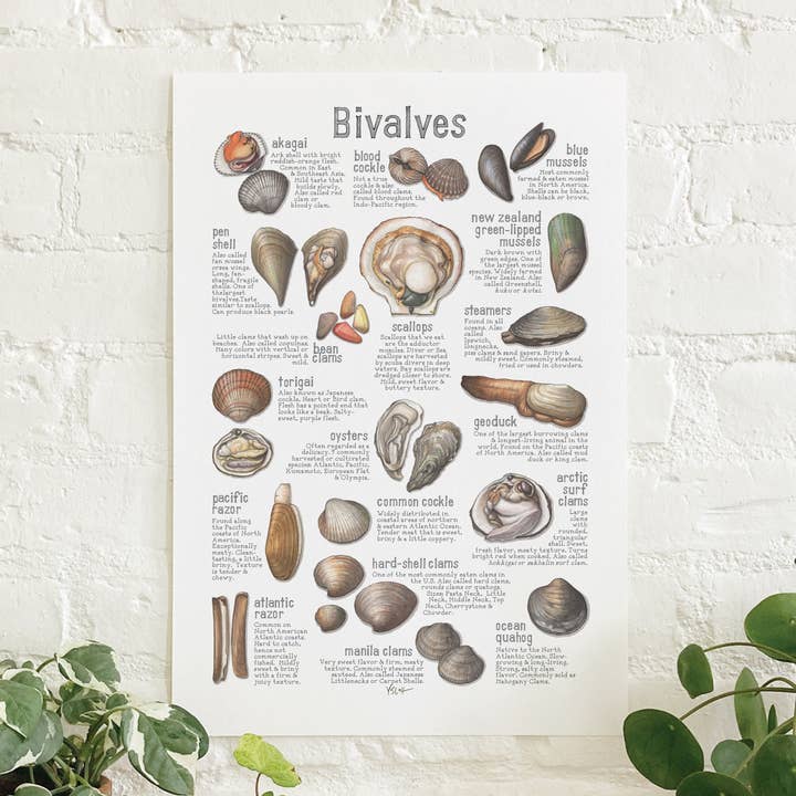 Locandina/Bivalves. Vongole, cozze, vongole, ostriche per la vendita all'ingrosso da parte di Yeesan Loh