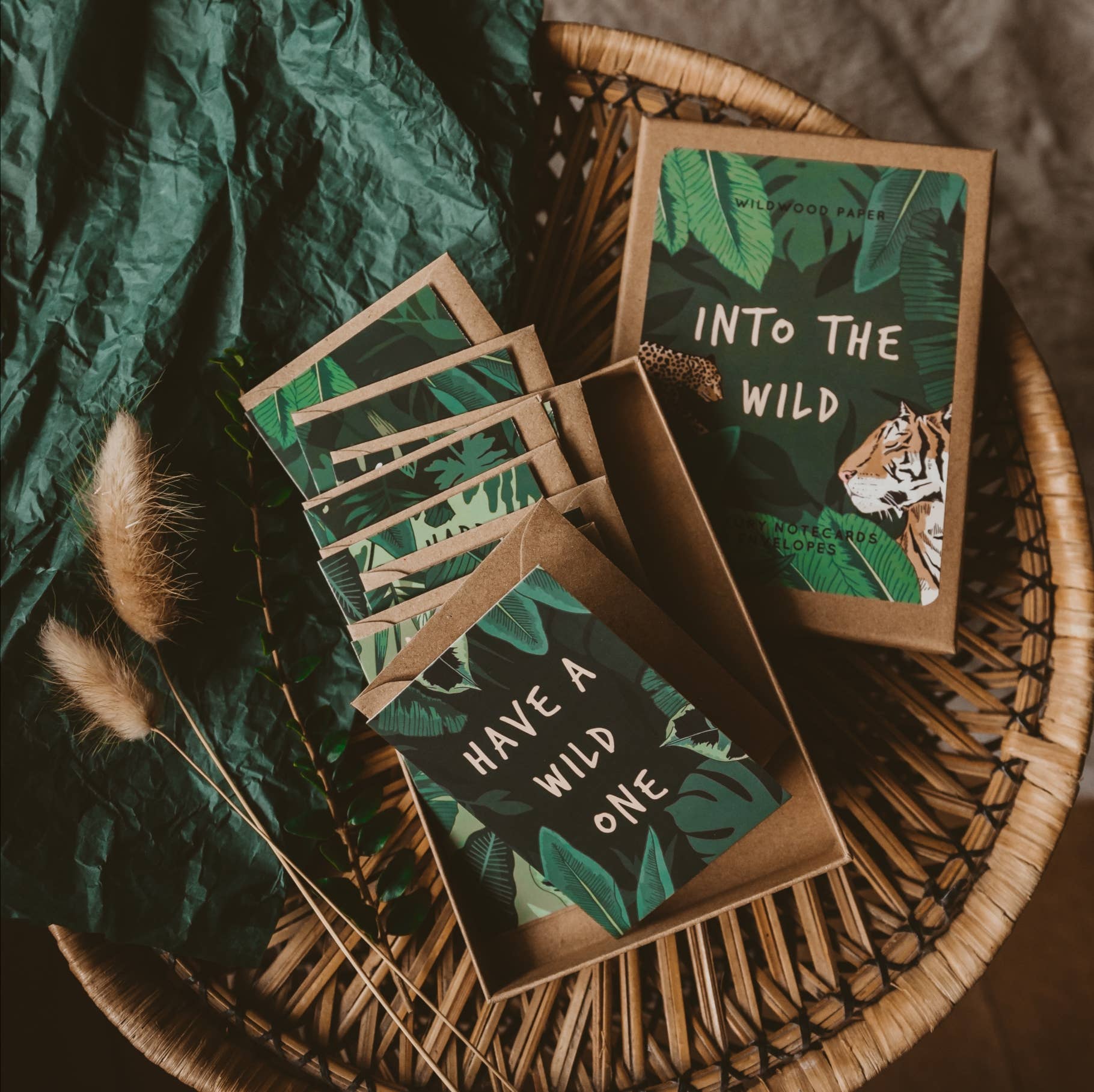 Wildwood Paper – wholesale Stationery/notecard set – Into The Wild Jungle Themed Birthday Notecard Boxed Gift Set2